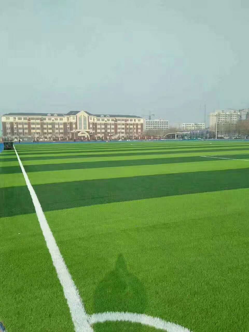 宁德市透水跑道仿真草坪 - 厂家